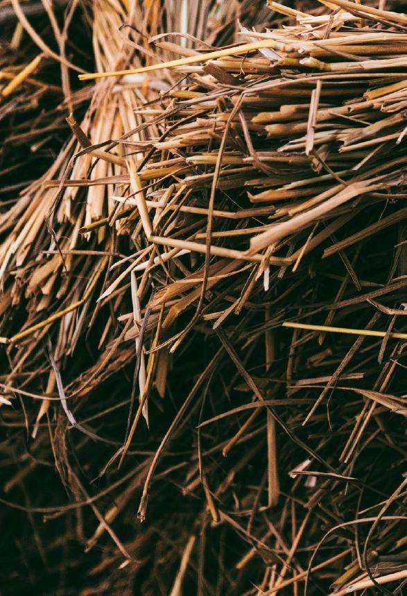 EcoStraw